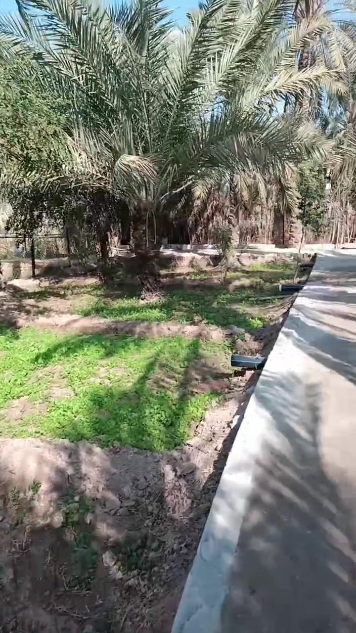 أبو الخصيب • ٢٠٤م • وقف سني