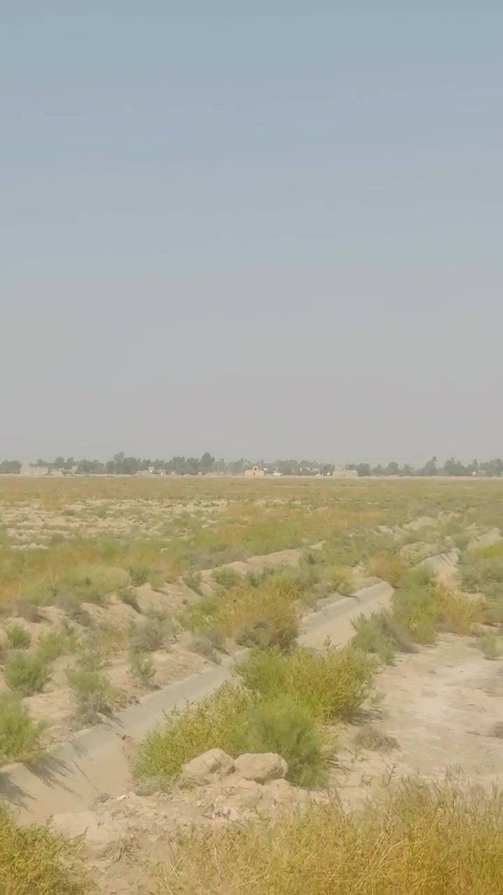 ارض زراعية • الديوانية • ٣٢ دونم