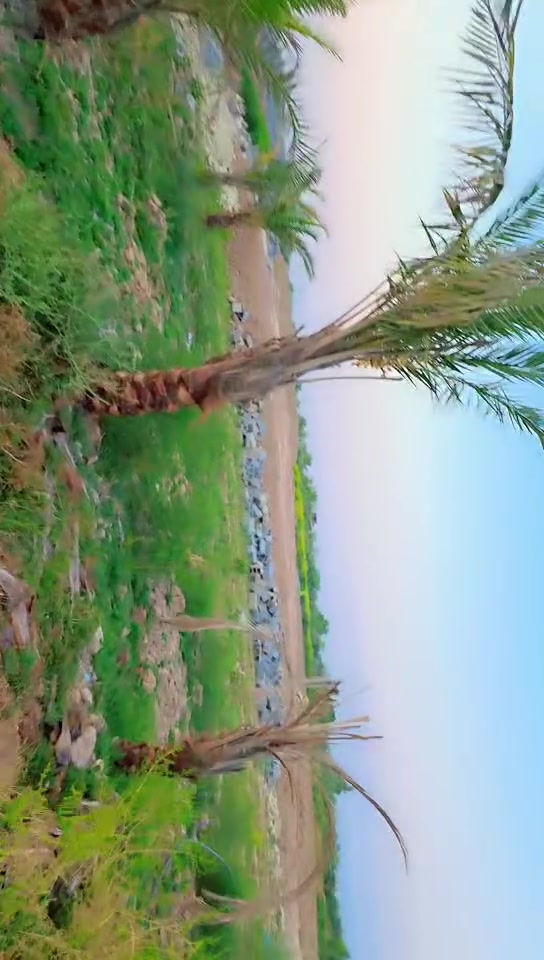 سلام عليكم
عدنه دونم ونص بيه بتلو رباط بيه 5قفرف نوم ستتقبال 13متر 
خالف مطعم الديوان وي المشروح محمد العيسه كافت الخدمات ‏‪***********‬‏

