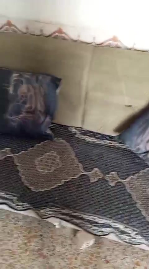 للبيع زوليه مخملية تركية نظيفة
٤ * ٦
ديوان ١١ متر ب ١٨٠
ميز ٣٥ والفرن ب ٣٠