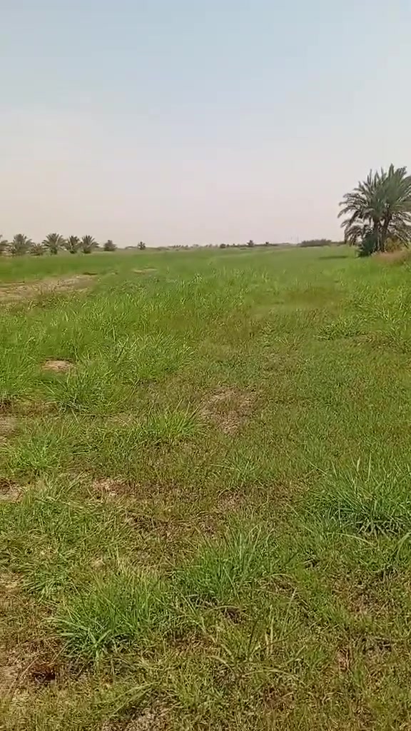 ارض مساحة 3 دونم ونص المكان العزيزية قرب بزل حلاتة ‏‪***********‬‏
