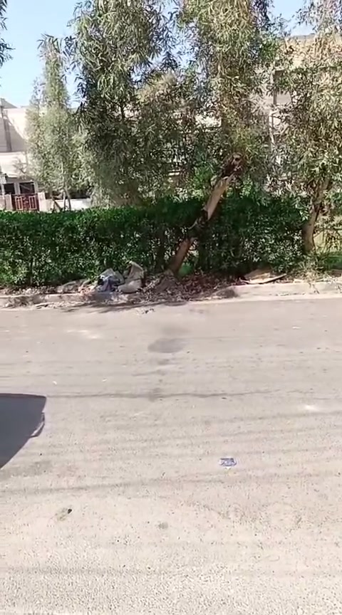 السلام عليكم 
بيت للبيع مساحه 110 متر 
 يحتوي على 
٣ غرف نوم 
٣ صحيات 
صاله ومطبخ وسطحين.
الموقع : الشعب شارع عدن قرب مذخر عدن (بالبدايه )
البيت امام حديقه  
للتواصل والاستفسار : متوفر واتساب للرقمين
***********
***********
