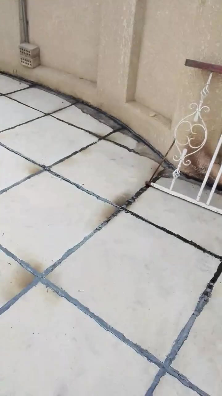 تزفيت السطوح • ماستك • ابو دشير