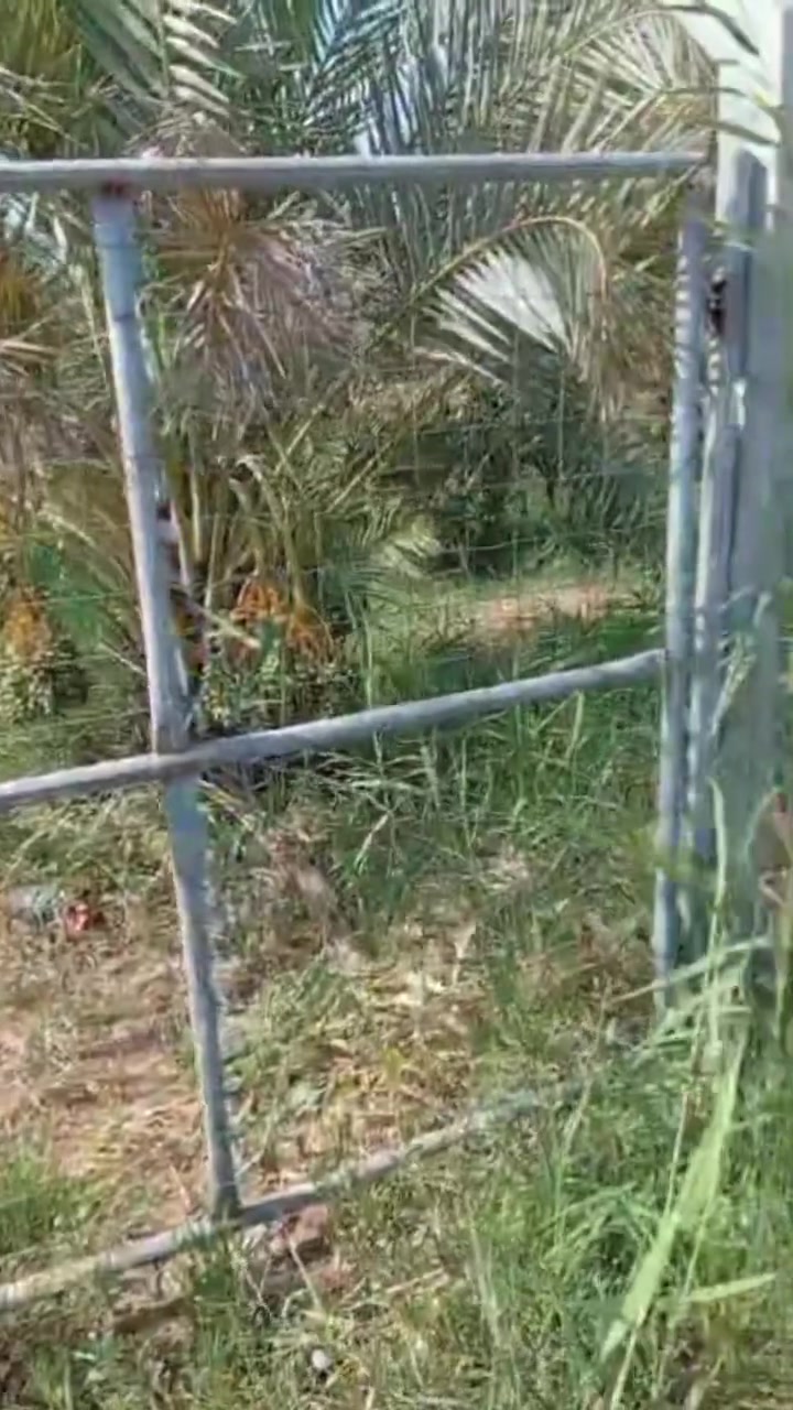 🌳🌴 فرصة مميزة للبيع – بستان زراعي 🌴🌳
📐 المساحة: 7.5 دونم
📃 سند 25 زراعي 
🌿 مزروعة بالكامل ومسيّجة
🌴 تحتوي على: • 30 نخلة برحي حمالة معهن فسايل بكل نخلة 
• 30 نخلة بألوان مختلفة
• تفاح ومشمش. وآلو بأنواع مختلفة
💧 ماء سقي من نهر دجلة
⚡ كهرباء واصلة
📍 الموقع: المصلحية – البغركانة – قبل المشروع
💰 سعر الدونم: 60 مليون دينار عراقي
🤝 ويوجد مجال للتفاوض
📞 *********** | ***********
🏢 مكتب الفراجي للعقار
بإدارة الحاج بسام حميد الفراجي
📍 العبايجي – المصلحية – مقابل شارع البحطاب
