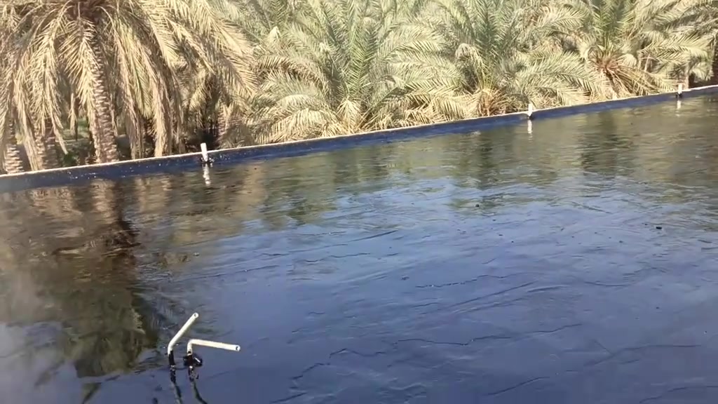 يوجد لدينا    زفت
بيع الزفت وعمل الاسطح و البوكس كرسته وعمل
وبأسعار مناسبه ويوجد فلانكوت ايظا
بأدارة
ليث الكرعاوي ‏‪***********‬‏
