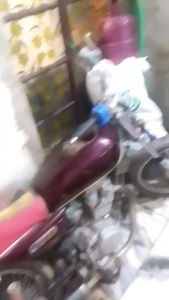شغاله • نص هندر • مدينة الصدر