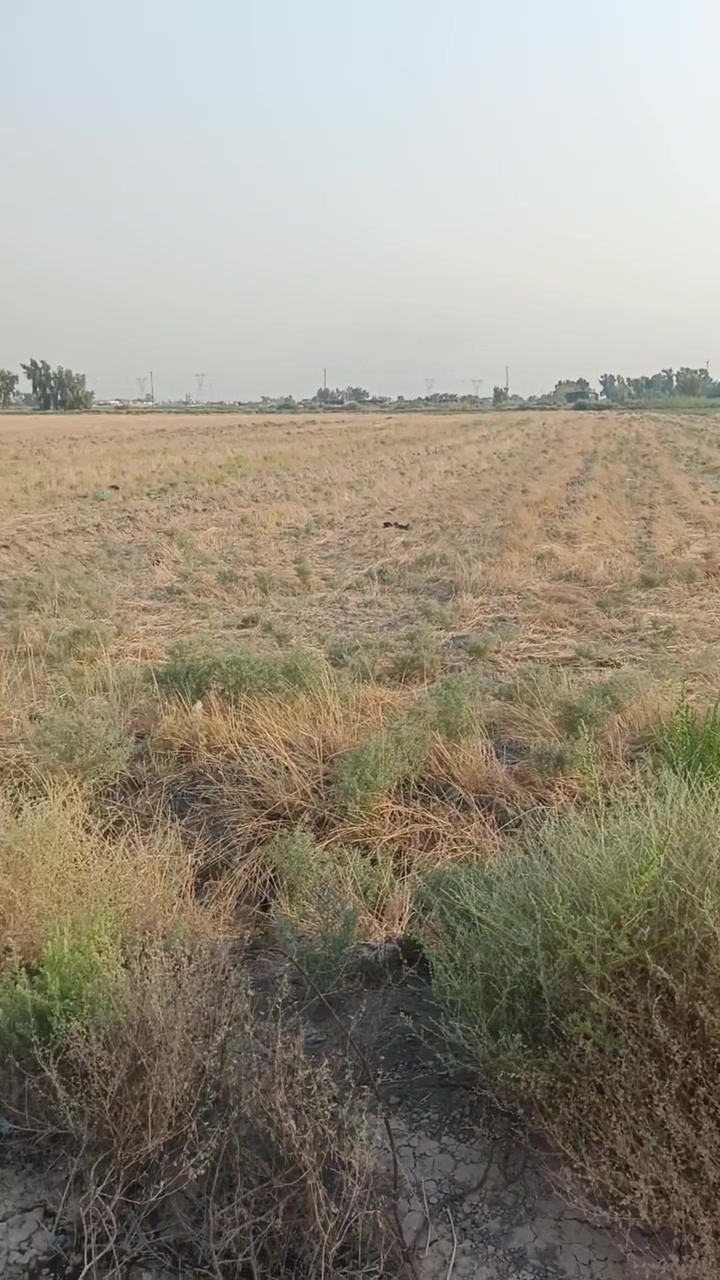 للبيع ارض زراعي طابو سند25 مكونه من 37 دونم كافية الخدمات التفاصيل بالفيديو للاستفسار الاتصال على الرقم
***********
