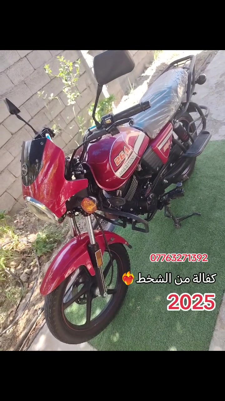 سلام عليكم دايوان 2025زيرو ماشية الف كفالة من الشخط نضافة وجدادة فول شرط دراجة برغي ممفتوح بيهة شرط قطارة صبغ مابيهة دراجة كارتون محرك200اخرس اوراق سكنࢪ سويجات سجينة دشبول الكتروني دراجة جديدة 
عارضهة 1525وبيهة مجال مكاني ديالى بعقوبة قرب جسر خرنابات شراي تصل ودلل ***********📞

اخوان ليدور جديدة هاذة لجديد وسوك كلشي بي شراي تصل وبخدمتك

