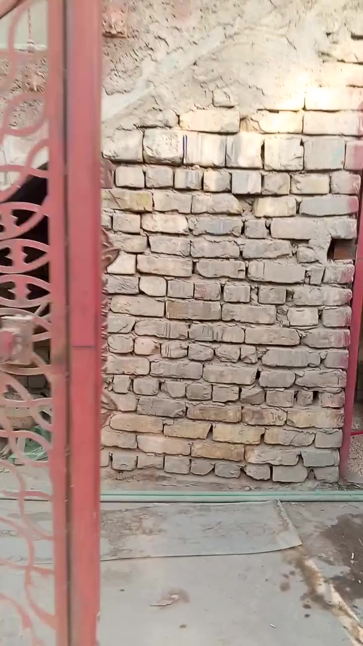 شارع المصافي • ١٥٠م • مفروشة