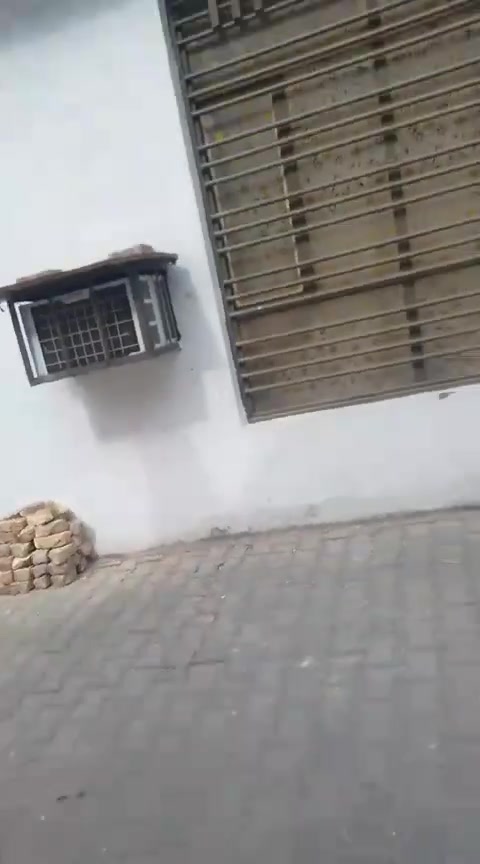 بيت • الكريميه • مباشر