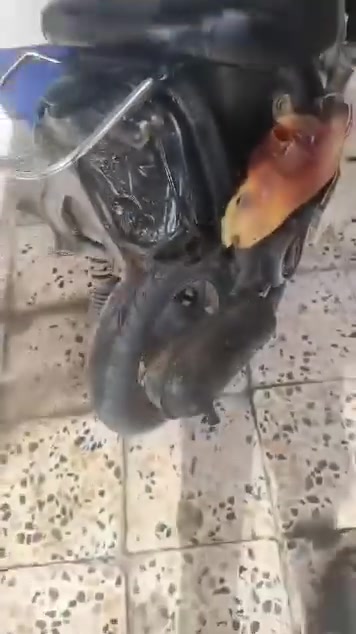سلام وعليكم دراجه للبيع عبد الحليم فقط رايدله كفرات محرك شاده جديد ناعم الدراجه شلعه نشطه الدراجه هندر سلف رايدله فقط باتري تعبان السعر 175وبيهة مجال المكان بغداد البياع رقم الهاتف ***********
