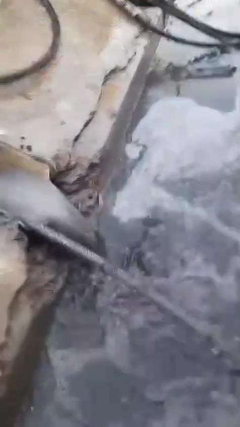 🚨 المجاري سادّة عليك؟ لا تتعب نفسك وتحير ! 
 فتح وتنظيف المجاري بضاغطه صاروخيه حتى تغسل المجاري من الداخل اذا تشكي من روائح داخل البيت او المطبخ بسبب تراكم الدهون بالمطبخ💦
إذا عندك مجاري مسدودة بوري مختنك أو خبط وتراكمات داخل البوري… الحل يمه! 💪
يفتح وينظف: جميع أنواع المجاري المنزلية
✅ مجاري الصرف الصحي
✅ الانسدادات الصعبة
✅ تفليش الخبط والتراكمات داخل البوري
✅ تنظيف الأنابيب بواسطة ماكينة الضغط القوية
و شغل سريع ونظيف وبأسعار مناسبة
يخدمكم بكل أمانة وحرص
📞 للحجز والاستفسار:
***********
💦 لا تخلي الانسداد يسببلك مشاكل… اتصل وخلي الباقي عليه👷🏼‍♂️
