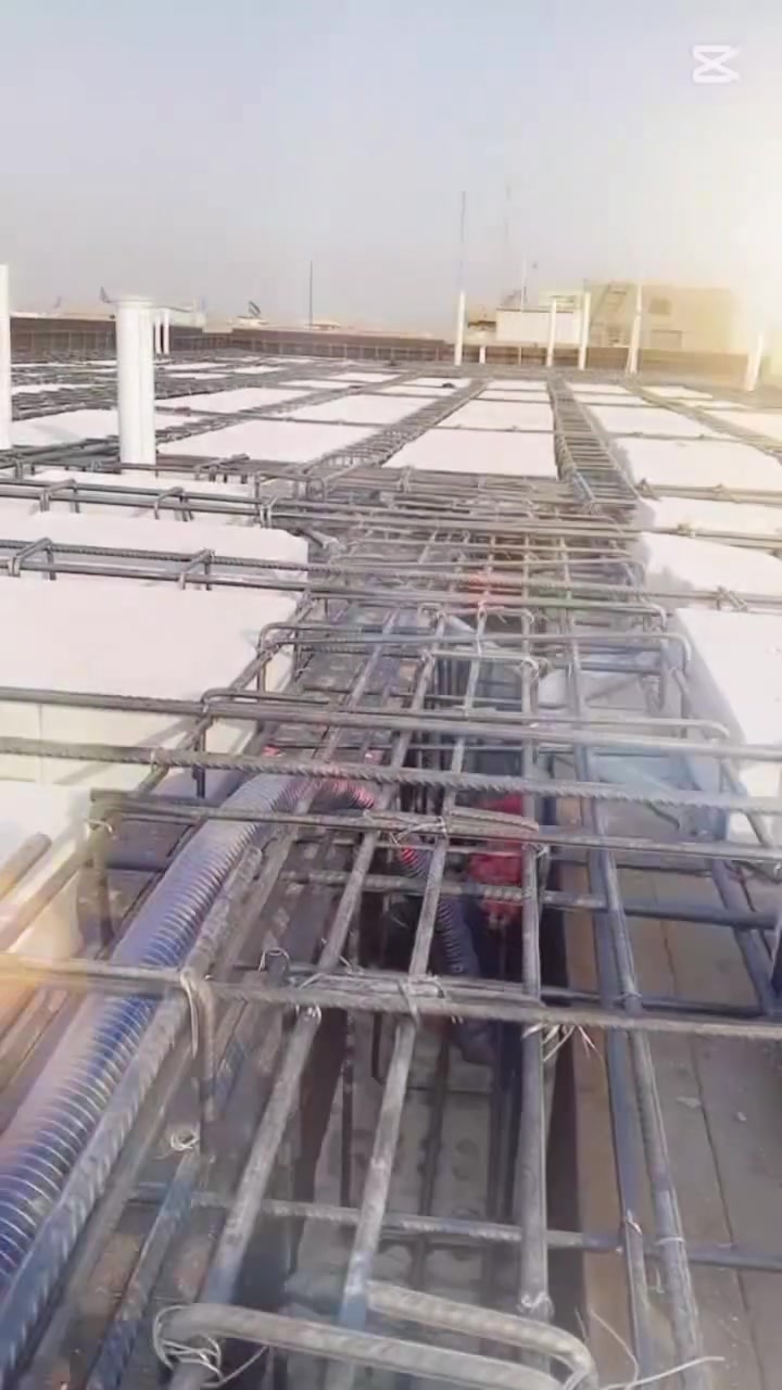 بالطن • قطعي • علي