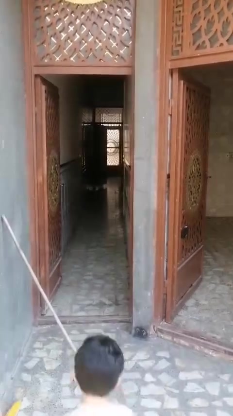 ابو دشير • ١٠٠م • مدخلين