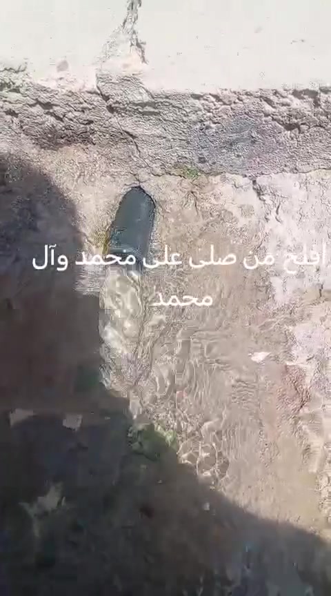 لعشاق الهدوء  جنه علارض واصوليه ومناسبه مزرعه للبيع  المساحه 800 من ظمنه  بيت حديث  السقف صب كونكريت مسلح بي 6دنك وبقربه مدارس ابتدائي ومتوسط صار 7 اشهر من بنيته  متكون من غرفتين وصاله وستقبال ومطبخ وحمام داخلي وحمام خارجي ماء اساله وماء  سقي وبيه فواكه تين  ونخل شكر وزهدي وخستاوي ومزروعه  والثيله ١٠٠ متر  سند ٢٥ تحويل  بلطابو شرط ثاني يوم  المكان بابل القاسم   عن طريق الزائرين العلجربوعيه  تفاصيل اكثر اتصل *********** السعر  علخاص لو تتصل علما اني  صاحب العقار..

نص مكتوب في الصور:
- 24/06/2024 08:46