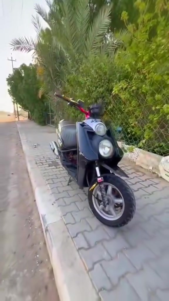سكنس جبلي • معدل • مفتوحه٥٨