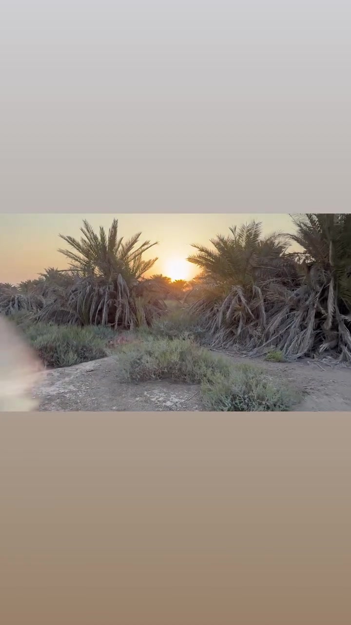 بستان زراعي • دونم ونص • ناصرية السديناويه