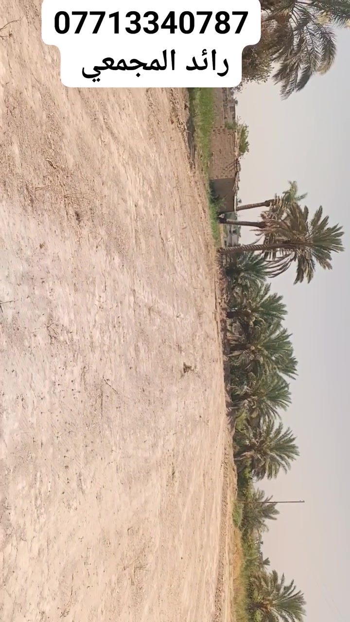 السلام عليكم قطعه مساحه  1400 متر طابو زراعي سند 25 مكانهه طريق امام المحسن قريه دحيله الواجهه 20 نزال 70 مخدومه السعر 145 
يرهم مراوس بيت زائد فرق حسب القناعه للاستفسار ***********
