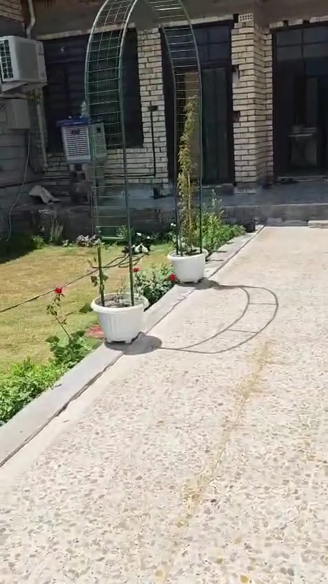 دارين • ٢٦٠م • ٣غرف
