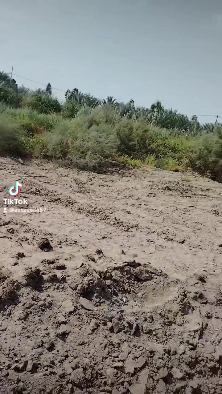 طابو زراعي • سند ٢٥ • ٢٠٠م
