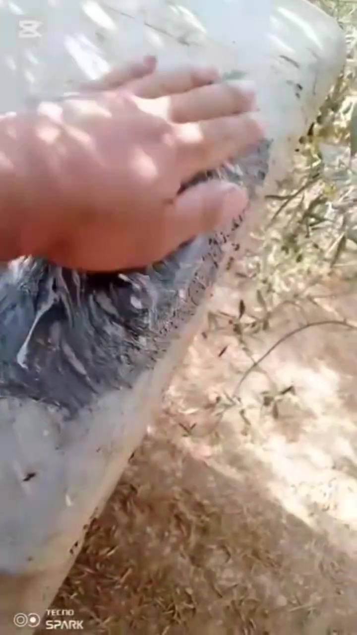 لا توجد تفاصيل
