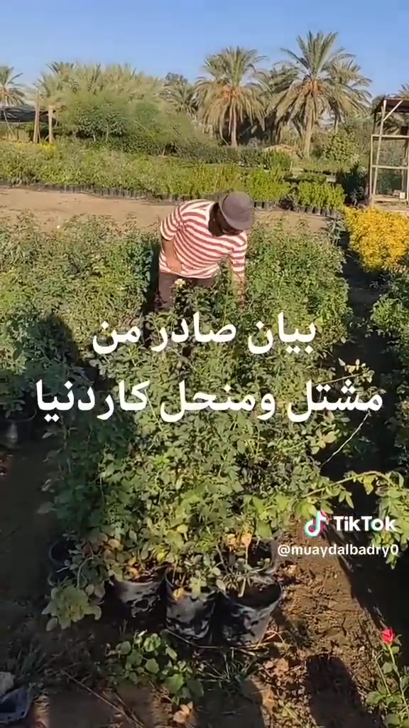 📍 زورونا في مشتل ومنحل كاردينيا
الموقع ديالى بعقوبه التحرير مقابل بيت كمبش والفرع الثاني بكاطون الرحمه للاستفسار الاتصال على الرقم ***********
