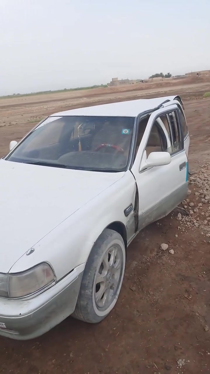 علي حادث • رقم نجف • سنوية ٢٠٢٩