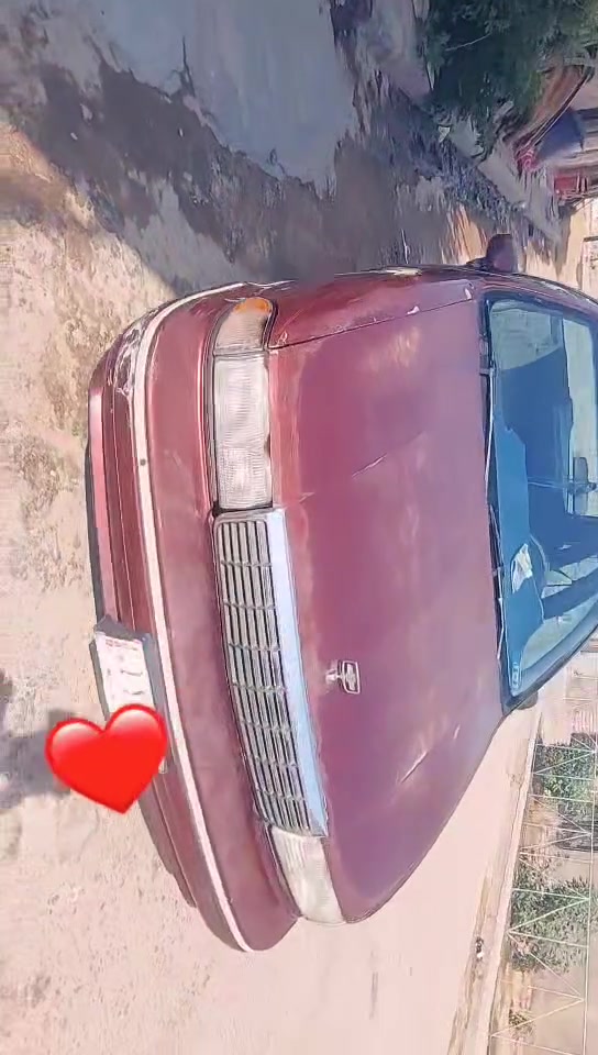 جاهزه • مكفوله • تخم تاير
