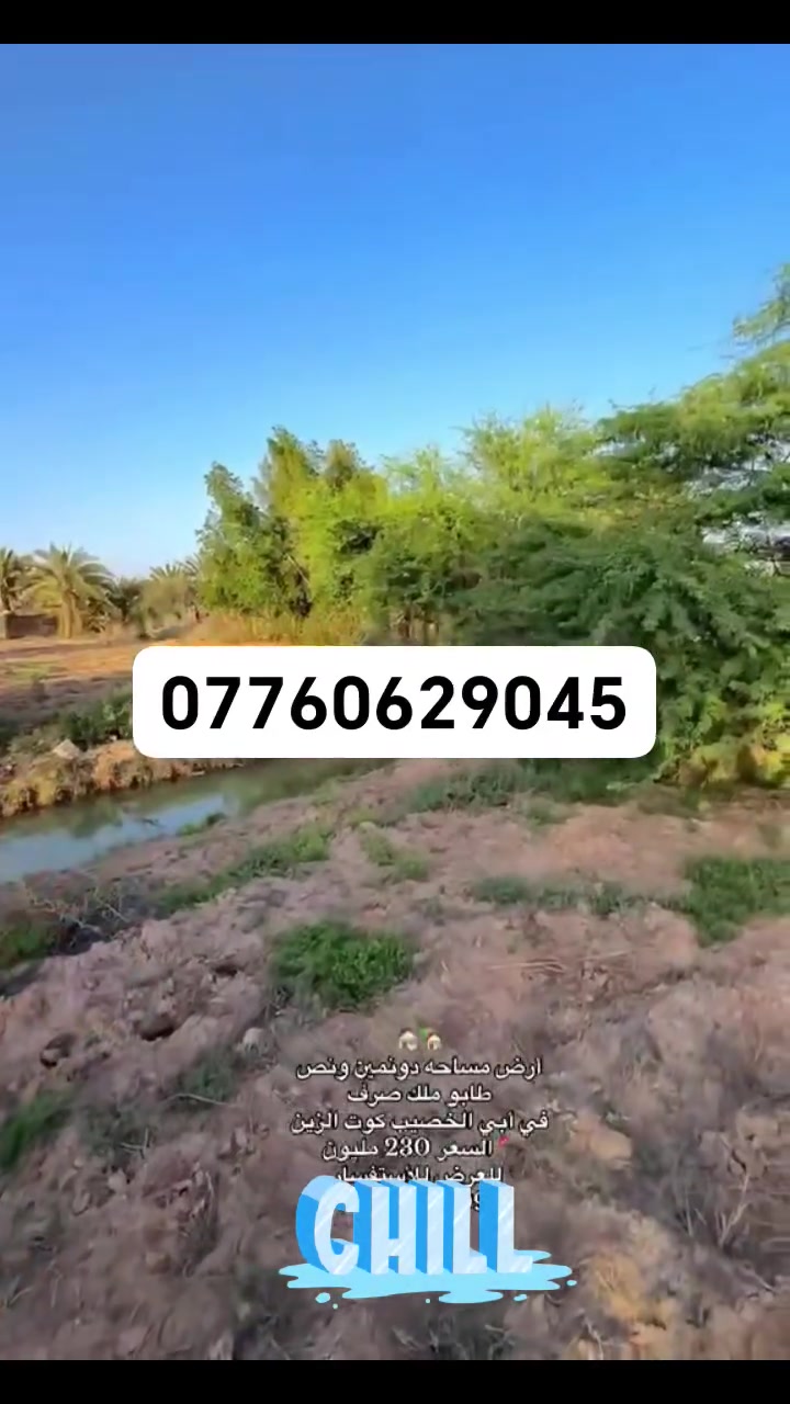 أرض • حوت الزين • ٦٢٥٠م