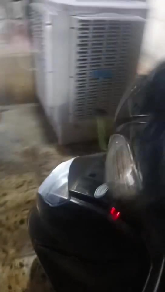 سلام عليكم سكنس فحل لبيع كلجات رياضي دراجه شلعه تاكل كاع عنوان بغداد موجود وتساب *********** سعره 550 وبيه مجال قليل ملاحضه بيه جبنه 5 سعرهه بس
