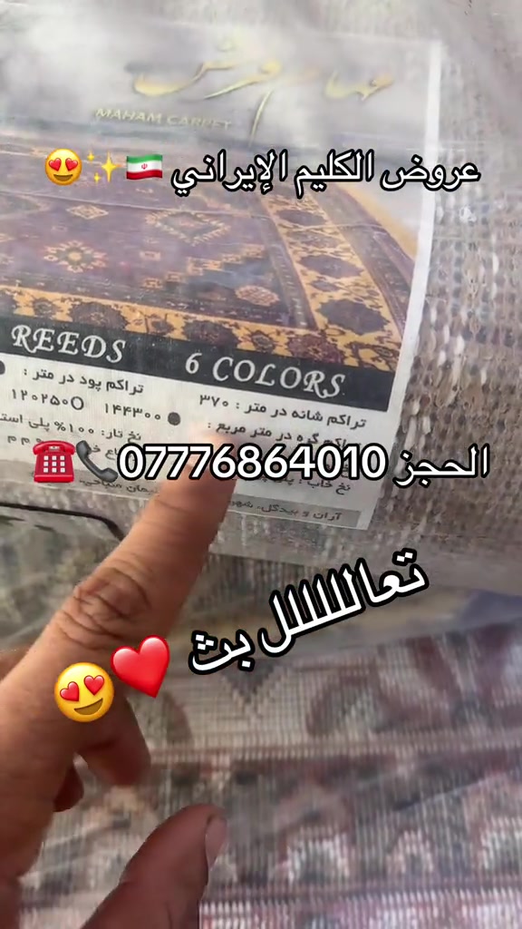 كليم ايراني • عروض • كل المحافظات