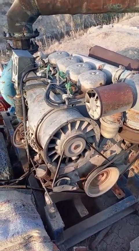 نحالة انگليزي ابو الصاروخ دويز
للبيع الاتصال ***********
