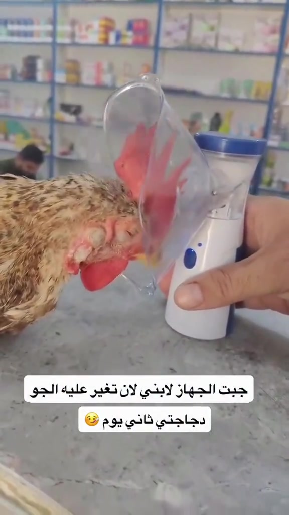 جهاز تبخير اوكسجين السعر 13 الف جهاز مناسب للكبار والاطفال ويجمع بين التكنولوجيا الحديثة والتصميم العصري، ليقدم تجربة استخدام هادئة ومريحة مع أداء فعال وسهولة في الحمل والاستخدام. صُمم الجهاز لتحويل سائل الدواء إلى رذاذ دقيق عبر تقنية الاهتزاز عالي السرعة، مما يساعد على تحويل الدواء إلى جزيئات صغيرة قابلة للاستنشاق من خلال القناع أو القطعة الفموية المرفقة. تتميز الجزيئات الدقيقة بسهولة وصولها إلى أجزاء الجهاز التنفسي، مع تصميم يتيح استخدام الجهاز بشكل مريح في المنزل أو أثناء التنقل. يتميز الجهاز بتصميم مدمج وخفيف الوزن، وتشغيل منخفض الضوضاء لتوفير تجربة أكثر هدوءاً أثناء الاستخدام، إضافة إلى استهلاك منخفض لطاقة. يمكن تشغيل الجهاز من خلال البطارية أو مصدر طاقة خارجي، مما يمنح المستخدم مرونة أكبر في الاستخدام داخل المنزل أو أثناء السفر والتنقل

نص مكتوب في الصور:
- جبت الجهاز لابني لان تغير عليه الجو دجاجتي ثاني يوم 🤧