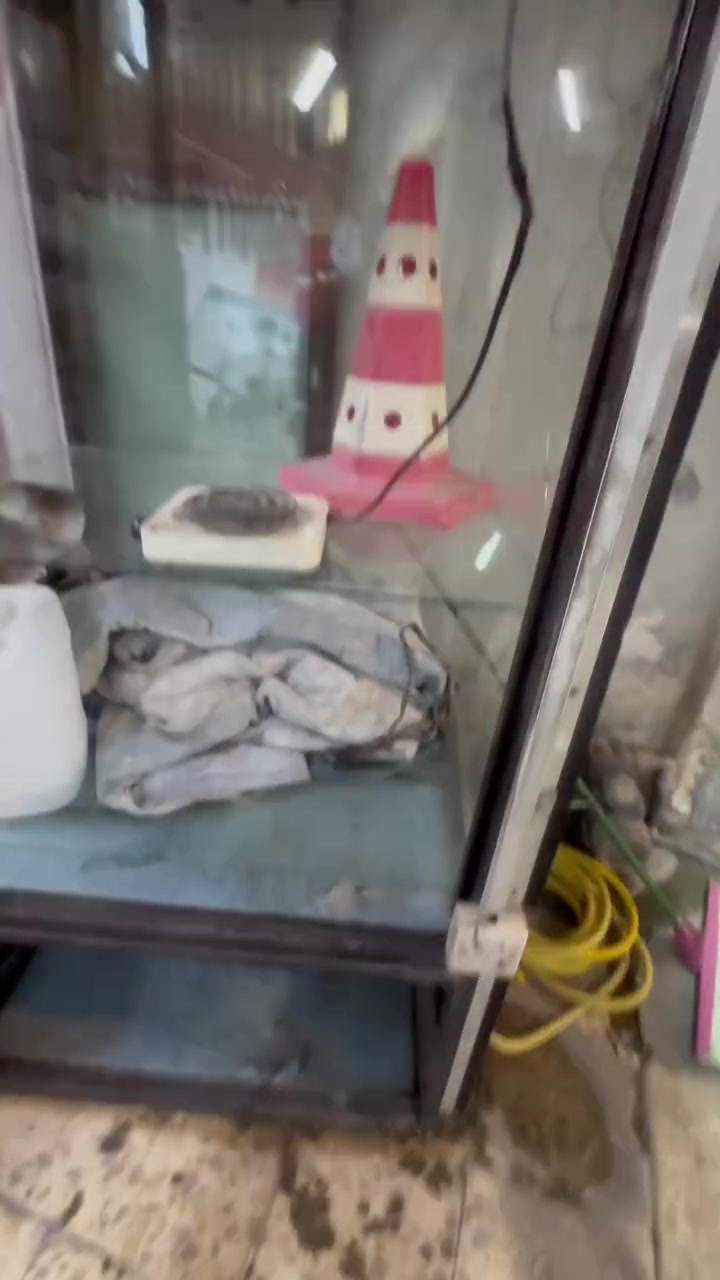 الناصريه • ذهب • كامله