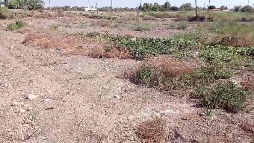 دونم واحد للبيع او نص دونم ارض زراعيه المشاهده خلف مطعم ابوجليعيده المشروع الاسحاقي تبعد عن سيطرة الاسحاقي 300 متر ***********
