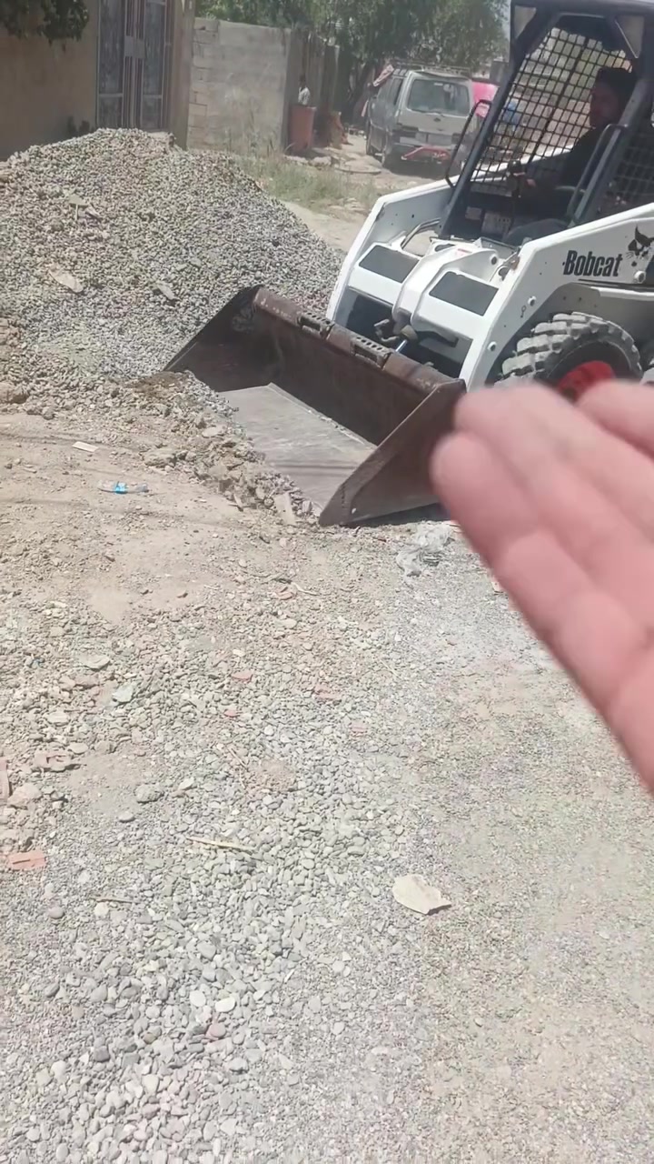 شفل صغير • بوب كات • ٢٠١٣