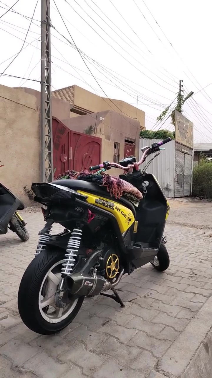 سكنس جبلي • موديل ١٣ • مراوس
