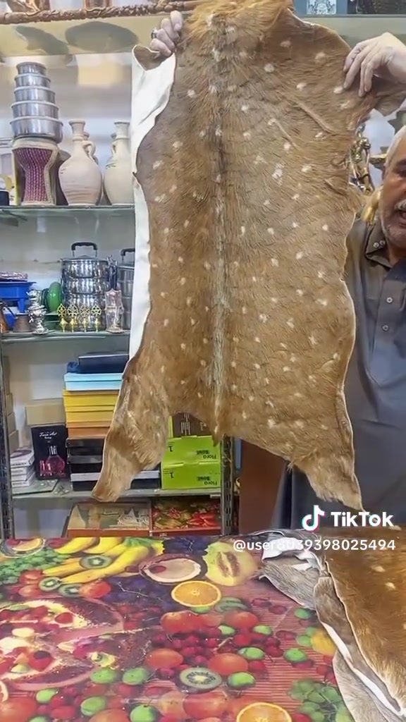 واتساب • توصيل • رد سريع