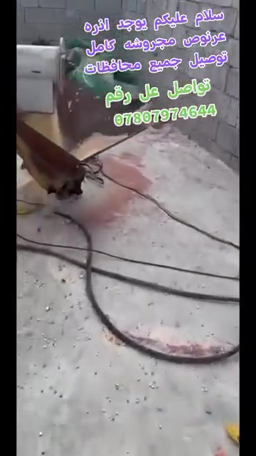 اذره مجروشه