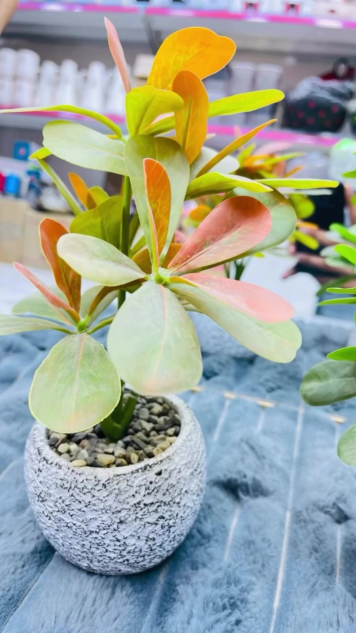 🌿✨ تشكيلة راقية من الأغصان والفازات والورود الصناعية 🌸🌿
خلي بيتك أجمل بلمسات ديكور ناعمة وأنيقة 🏡✨
فازات بأشكال مميزة 💐🤍 وأغصان صناعية تعطي المكان روح وحيوية 🌿😍
مناسبة للصالون، غرف النوم، المداخل وحتى طاولة السفرة 🏠✨

📍 العنوان: ديالى – تحرير – مجمع القمة – داخل القيصرية – مقابل المصعد

📞 للتواصل والطلب:
*********** 📱
*********** 📱

✨🌸🌿 #ديكور #فازات #ورود_صناعية #اغصان_صناعية #ديكور_منزلي #ديالى #بعقوبة #انستغرام #ريلز #اثر_للمواد_المنزلية 🏡💐✨
