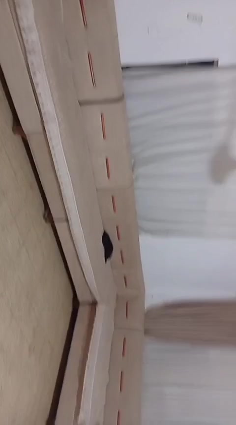 اثاث بيت • شرط النظافة • شاميه الجمهوري