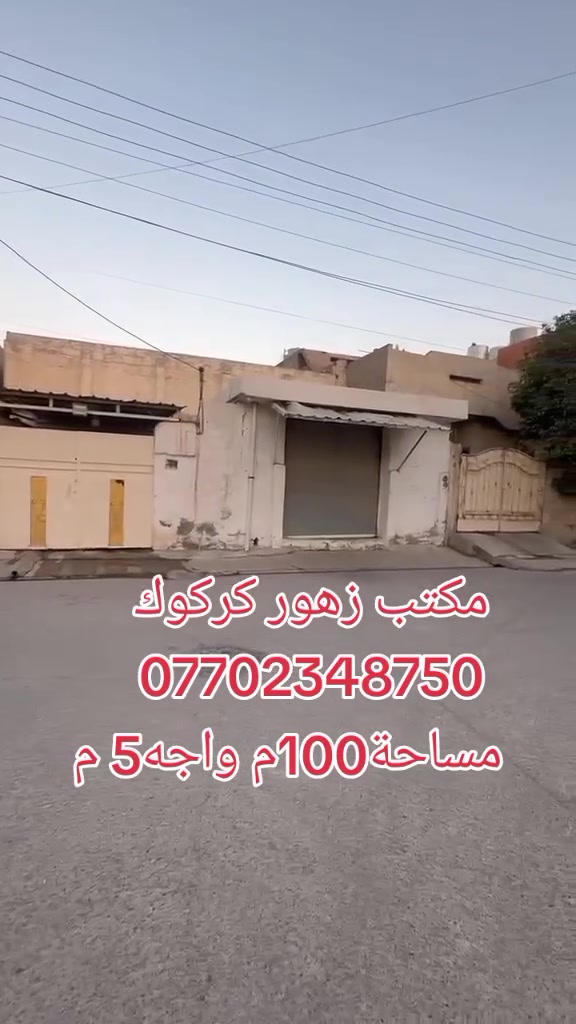 حي الواسطي • ١٠٠م • فرصة استثمارية