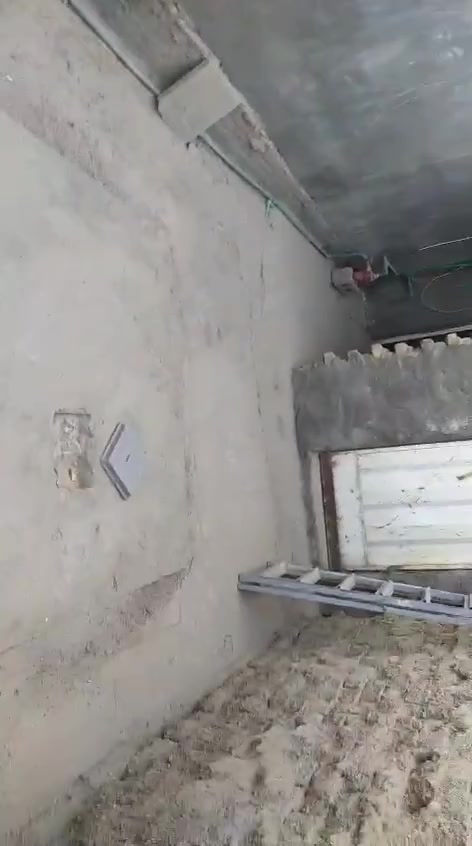 السلام عليكم مشتمل الإيجار شارع 80 مقابيل مخبز مهند نزلت البزل اول شارع عل يسره الاستفسار الاتصال ***********
