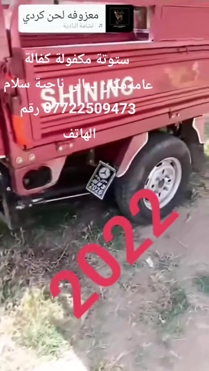 ***********رقم الهاتف
