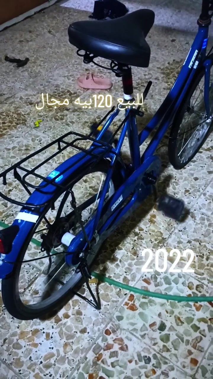 السلام عليكم شباب الجروب عم باسكيل للبيع حجم 20 مكان الناصريه مركز نظيف باسكت كامل كاميرات وياه سعر 100 قفله مو شراله راسلني باسكيل قفله 100
