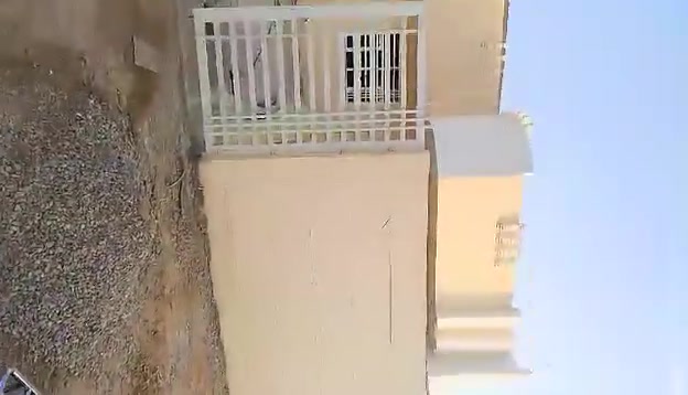 للبيع • شكد سعر • بدون تفاصيل