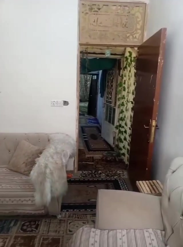 الاستكشافات ضهر بانزين • نص قطعة • ٧٣م
