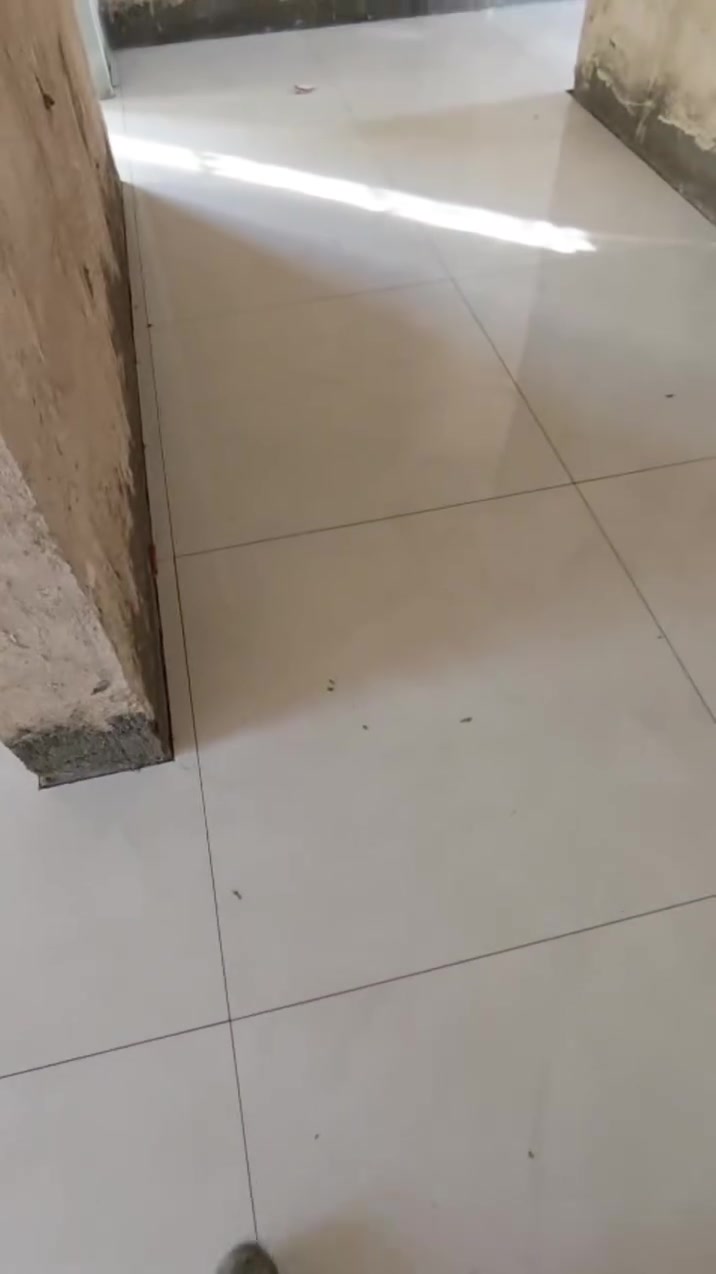 خلفه سراميك جدران ارضي الأواح شغل درجه اولى متفرغ حاليآ ***********
