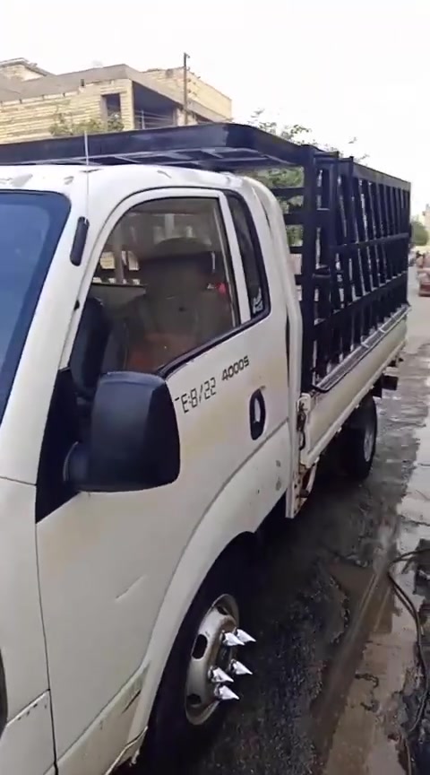 موديل ١٦ • مكفولة • القادسية
