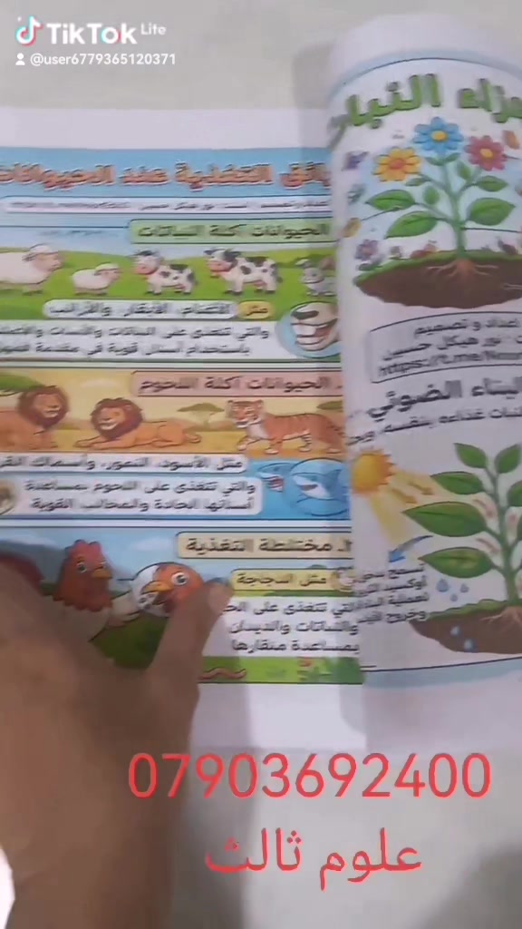 علوم • ثالث ابتدائي • اسئلة وحلول